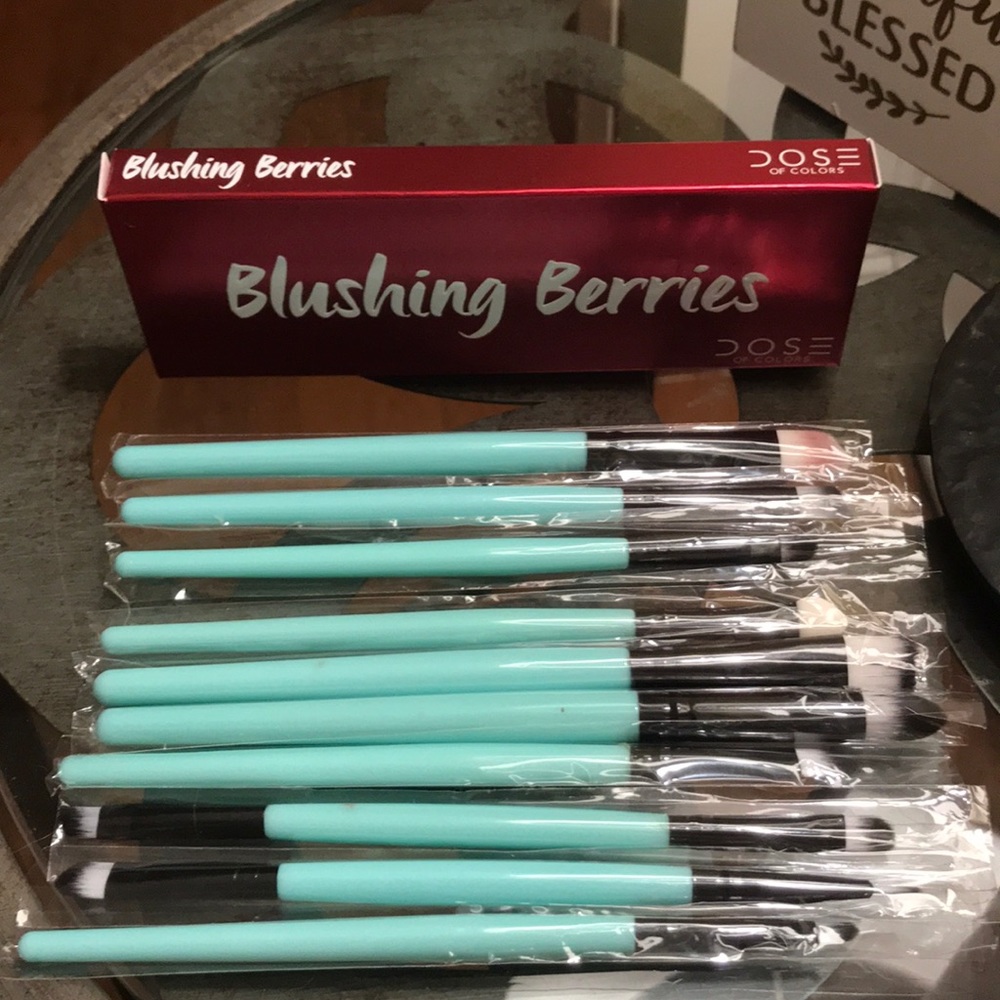 NWT eyeshadow and brush set